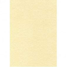 Дизайн-бумага SCL 2058 Пергамент шампань (А4,95г,25л.)