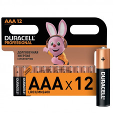 Батарейки DURACELL Professional ААА/LR03 бл/12шт