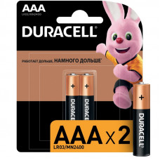 Батарейки DURACELL BASIC ААA/LR03-2BL