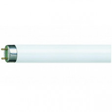 Лампа люминесцентная L 36W/765 G13 OSRAM