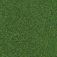 Линолеум IVC Neo Grass 25 (2,5м)