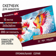 Альбом для акварели, бумага ИТАЛИЯ 200 г/м2 25% хлопок 245х345 мм, 10 л., BRAUBERG ART PREMIERE, 105911