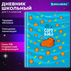 Дневник 1-4 класс 48 л., твердый, BRAUBERG, глянцевая ламинация, с подсказом, 