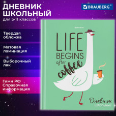 Дневник 5-11 класс 48 л., твердый, BRAUBERG, выборочный лак, с подсказом, 