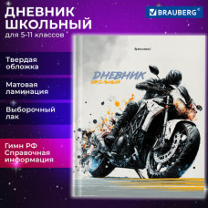 Дневник 5-11 класс 48 л., твердый, BRAUBERG, выборочный лак, с подсказом, 