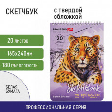 Скетчбук, белая бумага 180 г/м2, 165х240 мм, 20 л., гребень, твердая обложка, BRAUBERG ART CLASSIC, 112993