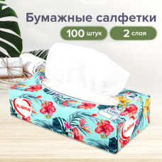 Салфетки косметические 100 шт. в картонном боксе 2-слойные, LAIMA 