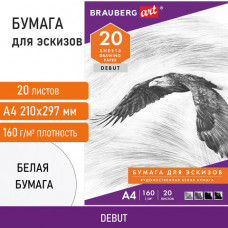 Папка для рисования А4, 20 л., 160 г/м2, BRAUBERG, 210х297 мм, 