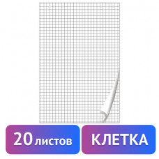 Блокнот для флипчарта ПЛОТНЫЙ 80 г/м2, BRAUBERG, 67,5х98 см, 20 листов, белый (КЛЕТКА), 128645