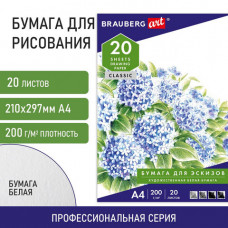 Папка для рисования А4, 20 л., 200 г/м2, BRAUBERG, 210х297 мм, 