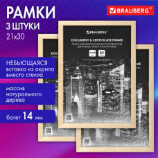 Рамка 21х30 см небьющаяся, КОМПЛЕКТ 3 шт., багет 14 мм дерево, BRAUBERG 