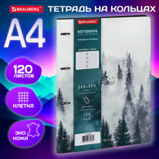 Тетрадь на кольцах БОЛЬШАЯ А4 (240х310 мм), 120 л., под кожу, BRAUBERG VISTA, 