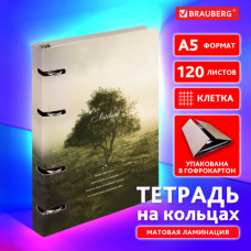 Тетрадь на кольцах А5 160х212 мм, 120 листов, картон, матовая ламинация, клетка, BRAUBERG, 