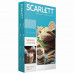 Весы кухонные SCARLETT SC-KS57P65 