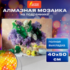 Картина стразами (алмазная мозаика) 40х50 см, ОСТРОВ СОКРОВИЩ 