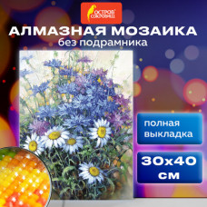 Картина стразами (алмазная мозаика) 30х40 см, ОСТРОВ СОКРОВИЩ 